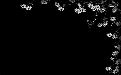 🔥 [48+] Flowers on Black Backgrounds Wallpapers | WallpaperSafari