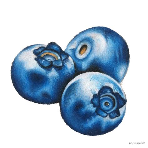 "Blueberries Drawing" by anon-artist | Redbubble