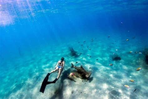 Best snorkeling in Florida without a boat