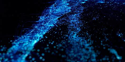 Let these bioluminescent sea organisms soothe you into the weekend ...