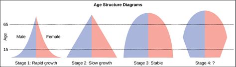 Human Population Growth | OpenStax Biology 2e