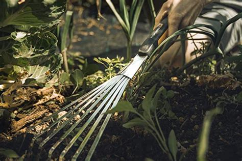 Garden Rake: 6 Best of 2021 (Extendable Handles & Hand Rakes)