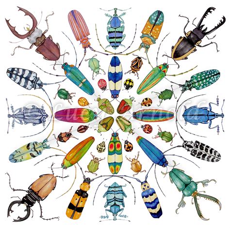 Beautiful Beetles - Fine Art of Lucy Arnold