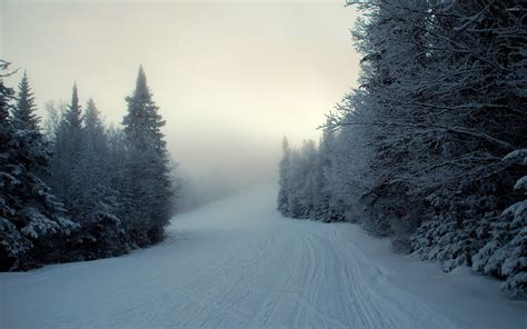 Foggy Winter Night Wallpapers - Wallpaper Cave