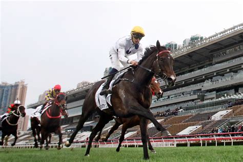 Hong Kong Racing Tips: Lui’s Sixty has Golden chance in HK Derby - CityAM