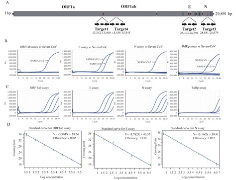 Three Novel Real-Time RT-PCR Assays for Detection of COVID-19 Virus