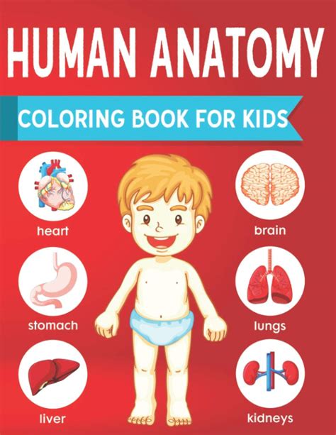 Human Anatomy Coloring Book For Kids: Human Body Parts Coloring Book ...