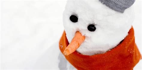 Frosty The Snowman Carrot Nose - Miller Thatert