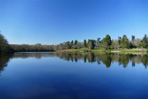 A walk for the whole family in Windsor Great Park — The Ambling Path ...