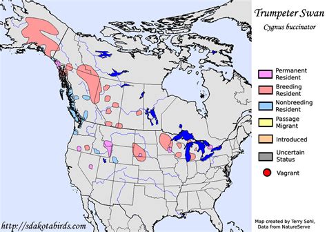 Trumpeter Swan - Species Range Map