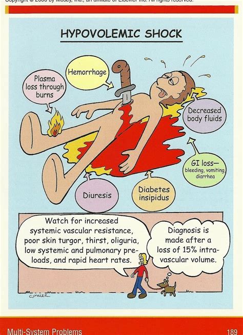 Nursing Case Study Hypovolemic Shock : How to recognize and respond to ...