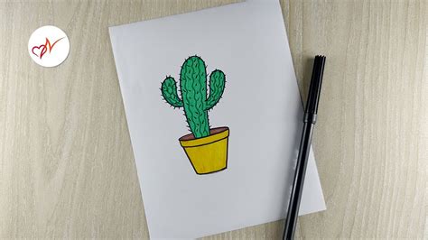 Cactus Plant Drawing