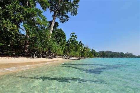 Havelock Island Beach Resort | Best Beach Resorts in Andaman | Luxury ...