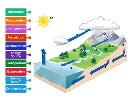TMS Water Cycle Labeled Diagram - Labelled diagram