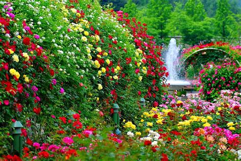 Beautiful Flower Garden Images Hd | Best Flower Site