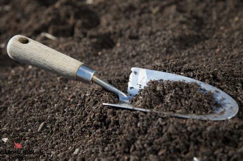 Digging Trowel. What The Pros Say. With Helpful Tips – Garden Tool ...