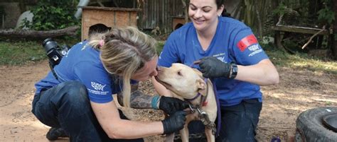 Milestones and moments | The Humane Society of the United States