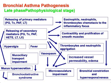 Bronchial asthma in children - презентация онлайн