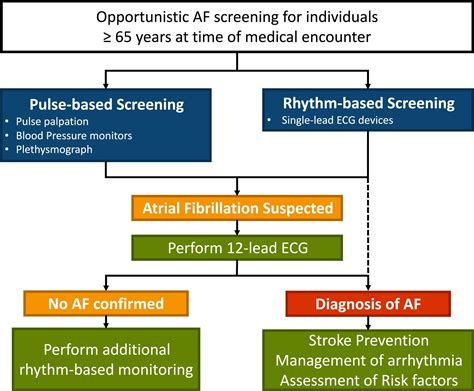 Atrial Fibrillation – Cardio Guide