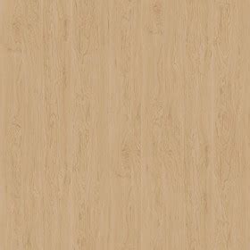 Birch fine wood PBR texture seamless 22014