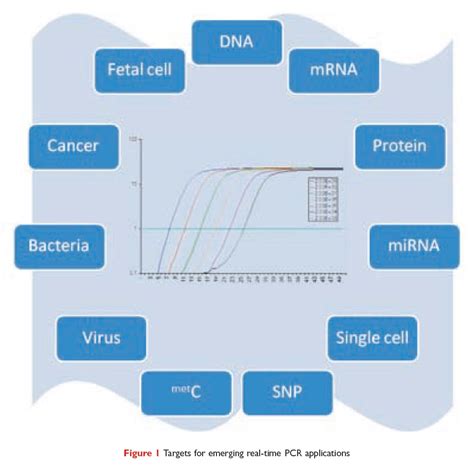 Emerging Real-time PCR Applications - Drug Discovery World (DDW)