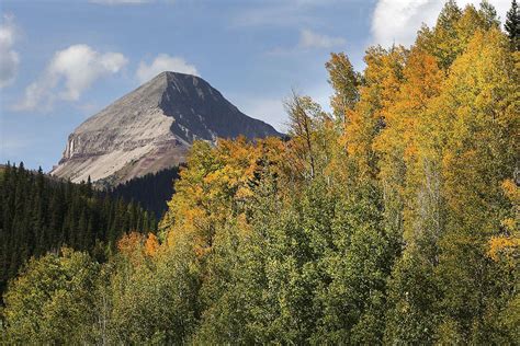 Fall Colors in the San Juan Mountains - The Durango Herald