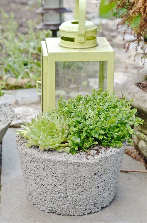 DIY Concrete Garden Planters