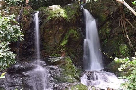 6 Magnificent Waterfalls In Mangalore One Must Definitely Visit!