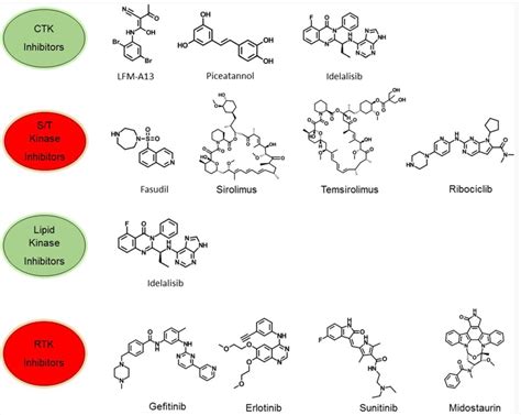 Protein Kinase: Definition, Functions and Inhibitors - BOC Sciences