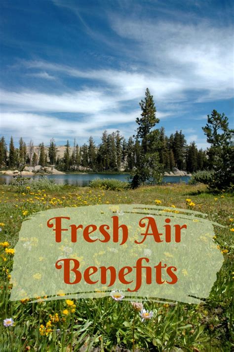 Fresh Air Benefits - Healthier Steps