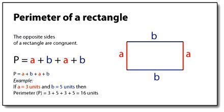 How to Calculate the Perimeter of a Rectangle? - Assignment Point