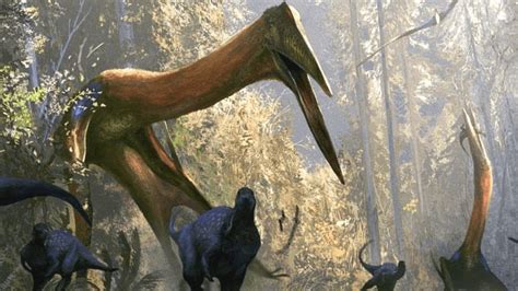 The Largest Animal To Ever Fly Wasn't Quetzalcoatlus