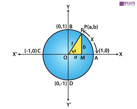 Value of Cos 180 Degrees- Know Value of Cosine Pi (π) With Derivation