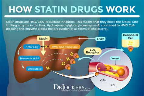 Statin Drug Side Effects: Symptoms and Support Strategies