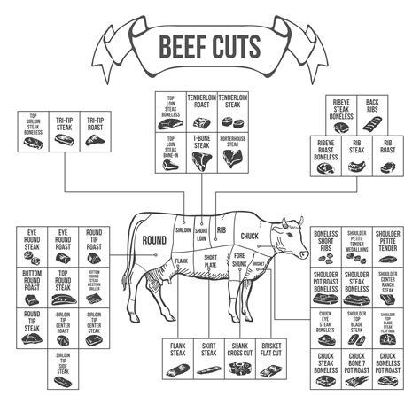 Beef Cut Basics - Marconda's