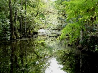 Weather/Climate - The Swamps Biome