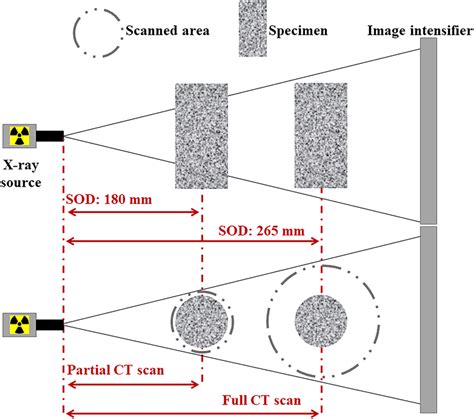 A schematic diagram of the full computed tomography scan and partial ...