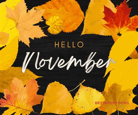 Hello November Fall Leaves Gif Pictures, Photos, and Images for ...