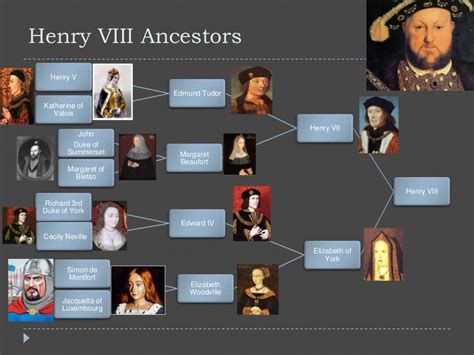 Henry viii family tree