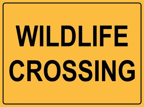 Wildlife Crossing Sign – New Signs