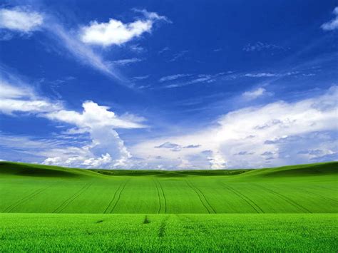 Windows XP Bliss Wallpaper - WallpaperSafari