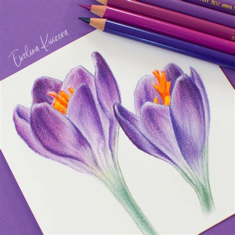 How to draw flowers with colored pencils - a step by step tutorial ...