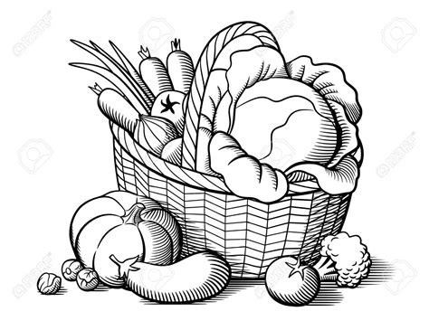 Vegetables Line Drawing | Free download on ClipArtMag