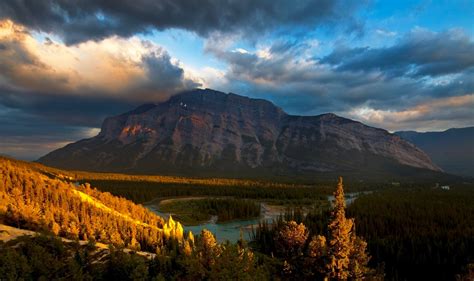 Canada. A voyage to wild nature in Canada, North America - Newfoundland ...