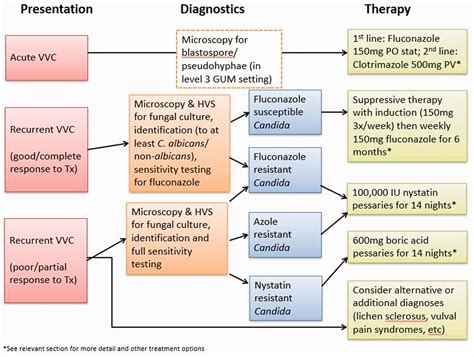 Vulval Candidiasis Treatment