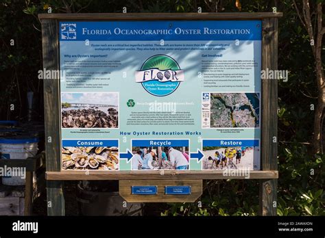 A sign explaining the Oyster Reef Restoration project at the Florida ...