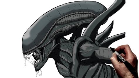 How To Draw A Xenomorph | Step By Step | Alien - YouTube