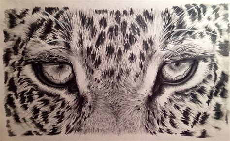 "Intimidated" Graphite pencil drawing by Julianne Bledsoe | Pencil ...