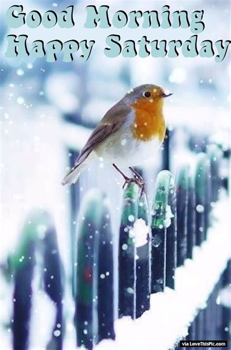 Winter Good Morning Happy Saturday Quote Pictures, Photos, and Images ...