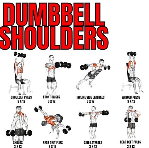 Dumbbell Shoulder Workout | Shoulder workout, Gym workouts for men ...